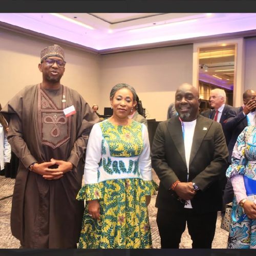Commonwealth Sports Ministers Meeting in Glasgow: NIS joins Mallam Shehu Dikko, Olapade